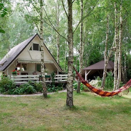 Domek W Brzozach Villa Сашино Екстериор снимка